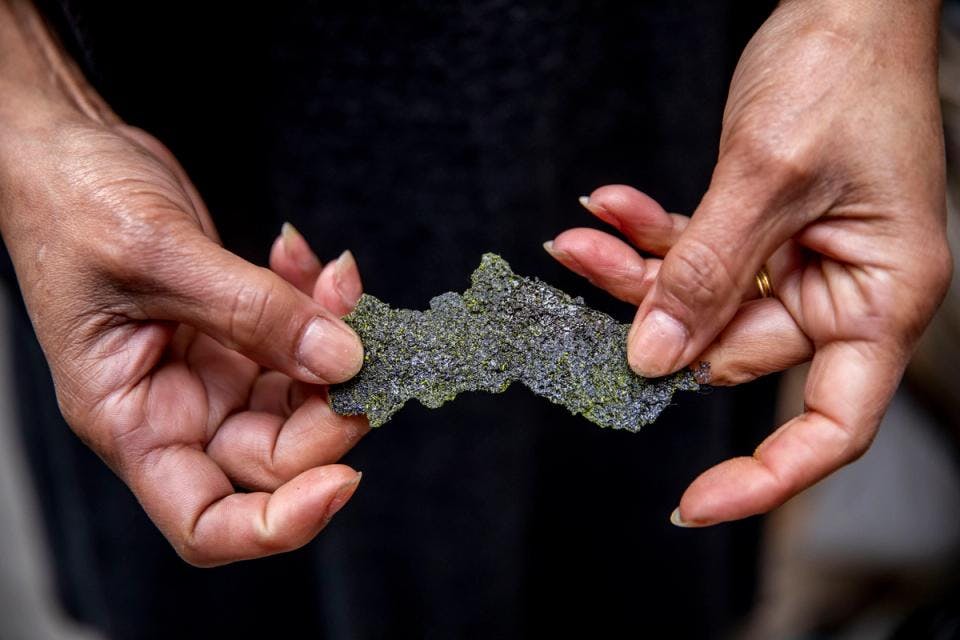 A close-up of Debora Moore holding a piece of glass that looks like moss.