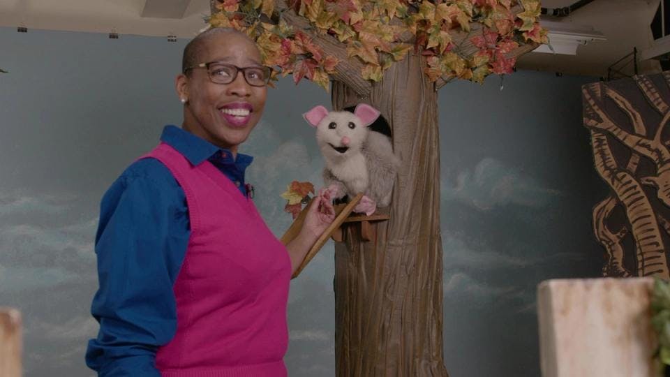 A woman with a possum puppet on a TV set