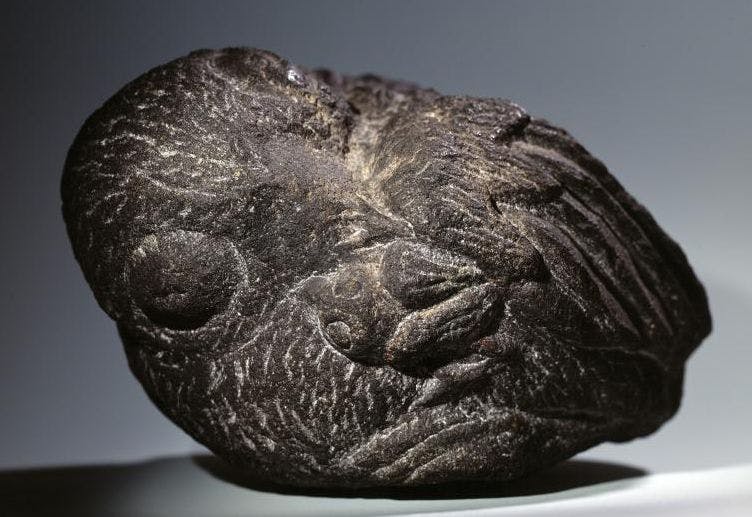 carved dark stone with features of a bird